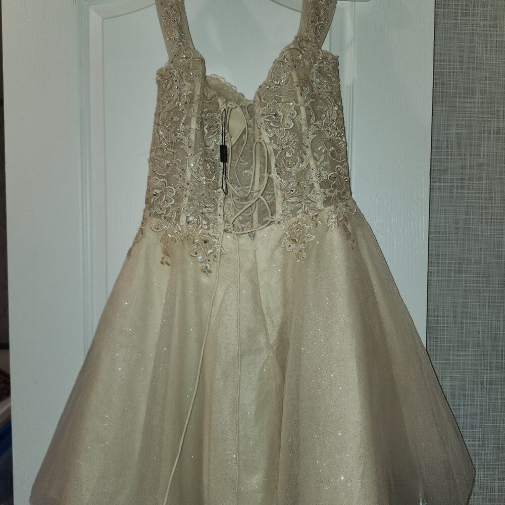 Dress - Picture 2 of 2
